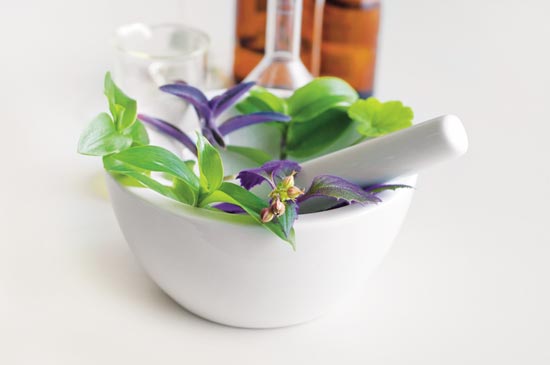 100% kvaliteta - jamstvo uspješnosti