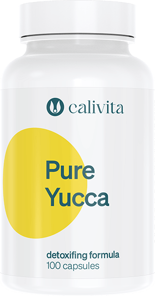 pure-yucca-juka